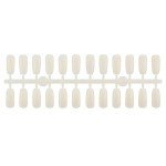 Pack de 240 tips para libro expositor