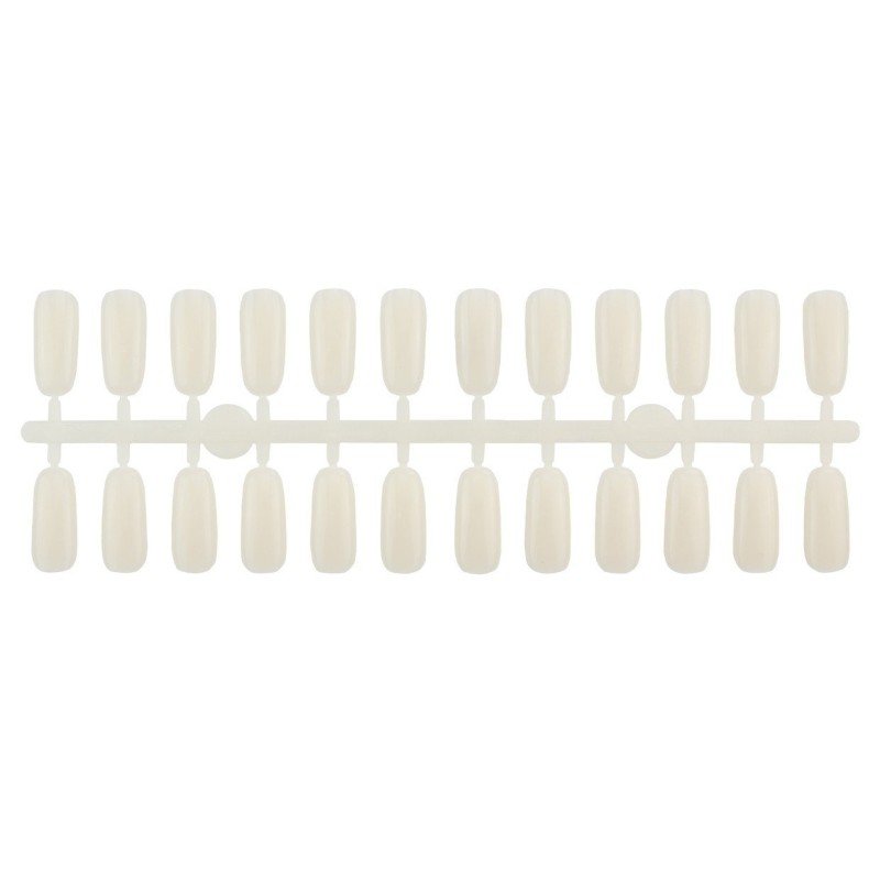 Pack de 240 tips para libro expositor