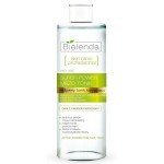 Tónico Anti-Edad Corrector Activo 200ml