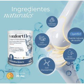 Conforflex 390 g polvo de Nature Essential con colágeno