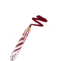 Delineador Labial Show By Pastel