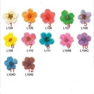 FLORES SECAS I - Belleza Natural