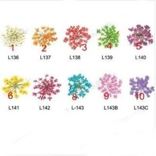 Elegantes Flores Secas II para tu hogar