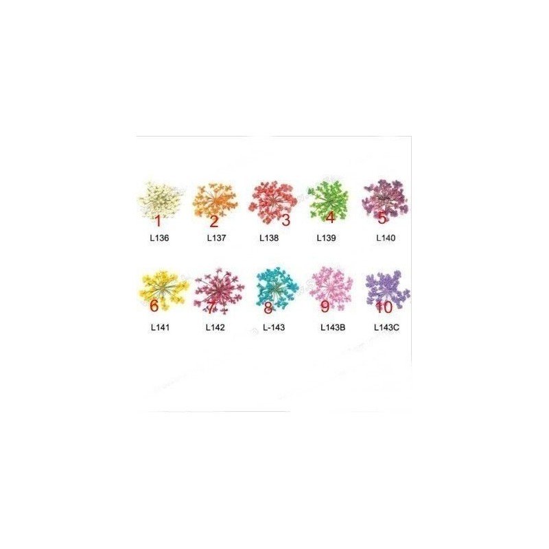 Elegantes Flores Secas II para tu hogar Elegantes Flores Secas II para tu hogar
