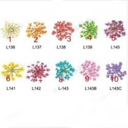 Elegantes Flores Secas II para tu hogar