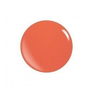 Acrilico 21401 Puro Naranja de XGEL