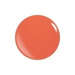 Acrilico 21401 Puro Naranja de XGEL