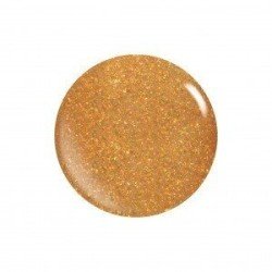 Acrilico Color 21601 Oro - Polvos XGEL