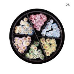 Rueda Flores Daisy II - Elegante detalle decorativo