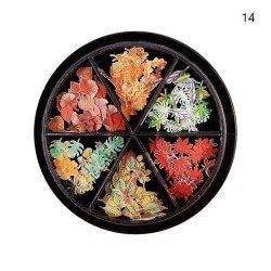 Rueda Flores Daisy II - Elegante detalle decorativo