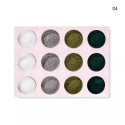 Set de 12 piezas de polvo terciopelo para uñas